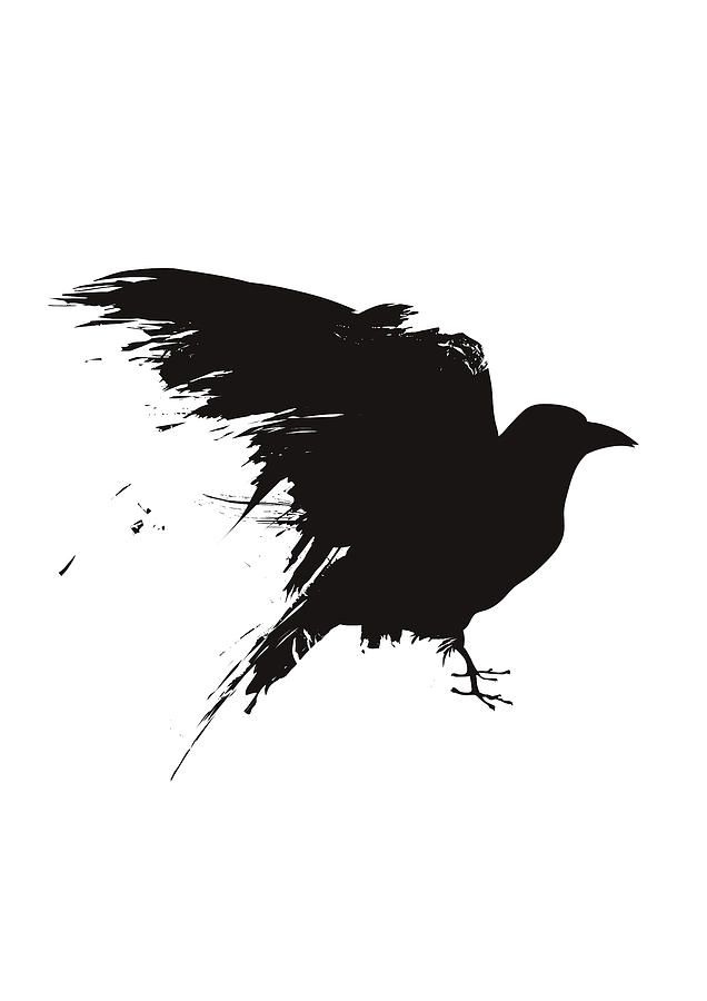 Vector Illustration Of The Silhouette Of A Raven In Grunge Style 636x900 Vector Illustration Of The Silhouette Of A Raven In Grunge Style