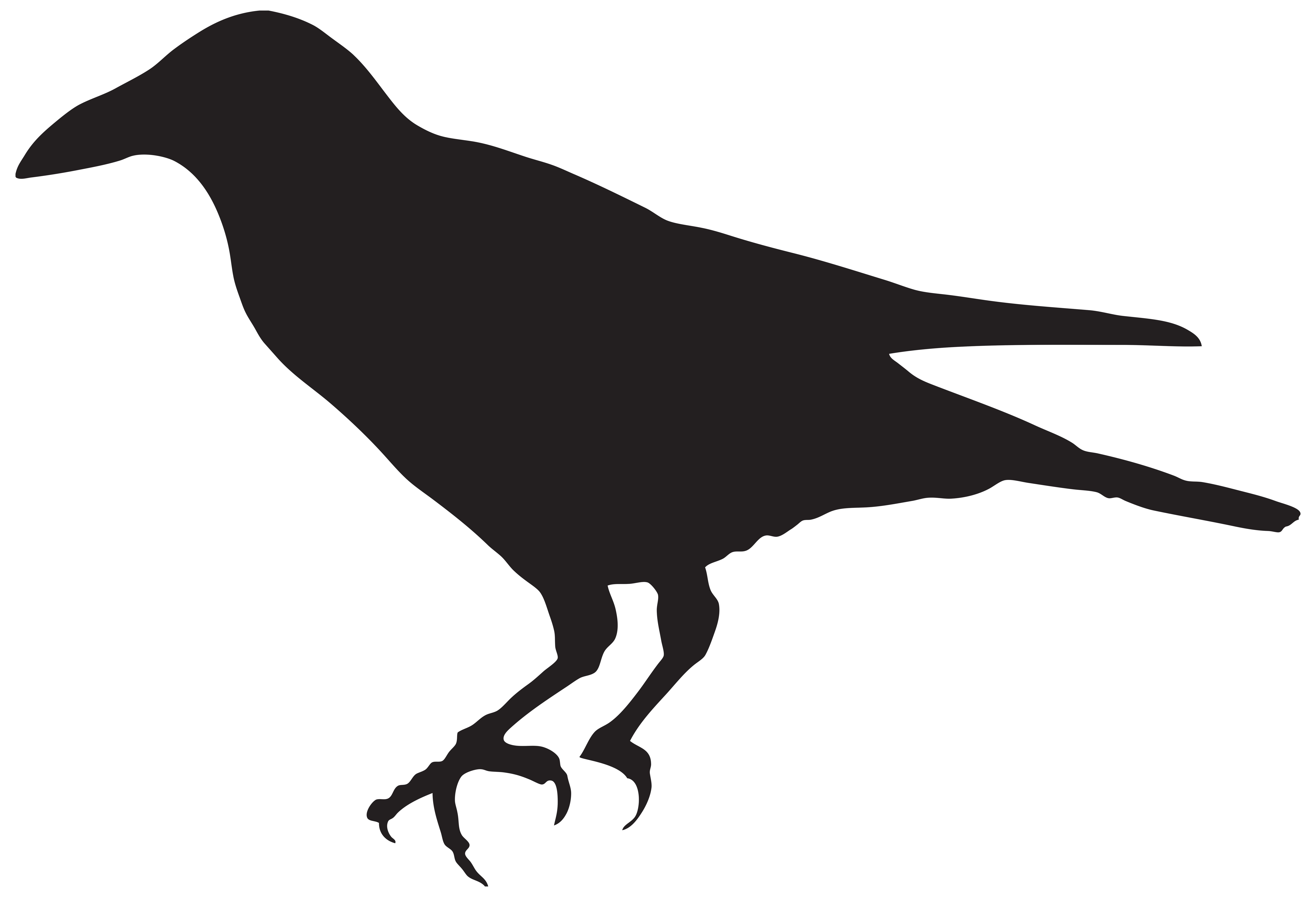 Clipart Ravens Silhouette Vector For Free Download And Use Images 8000x5453 Clipart Ravens Silhouette Vector For Free Download And Use Images