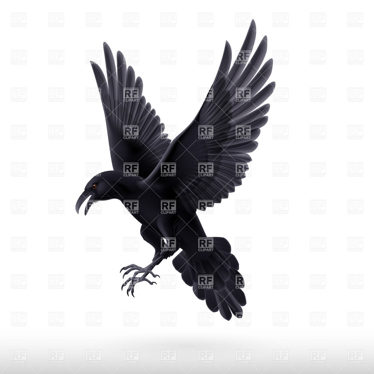Raven Vector