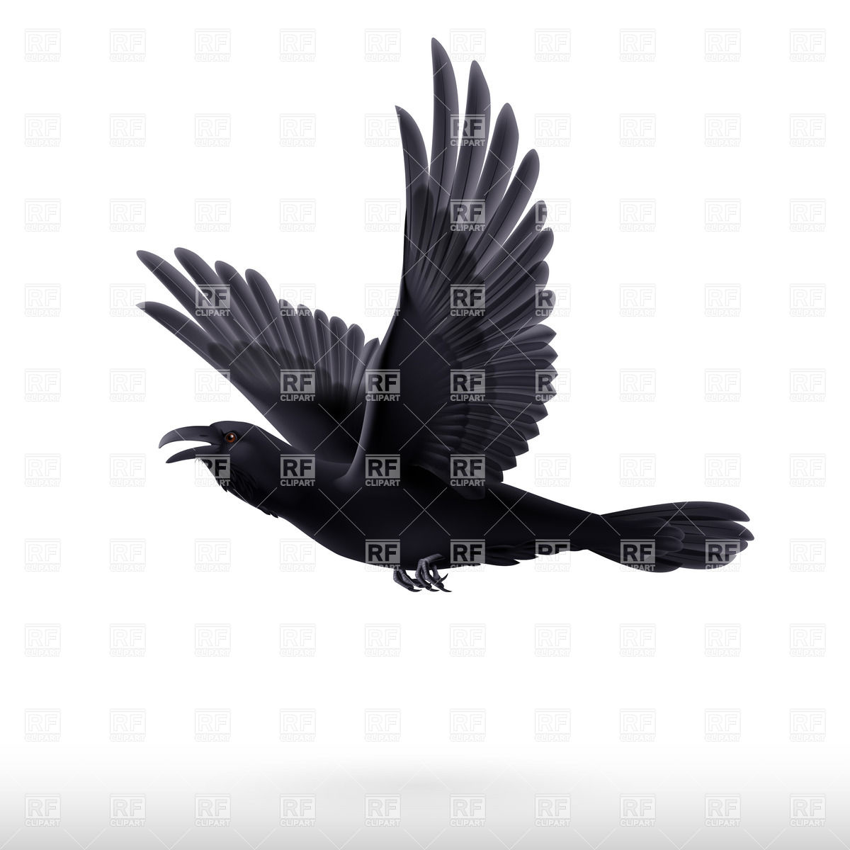 Raven Vector at Vectorified.com | Collection of Raven Vector free for ...