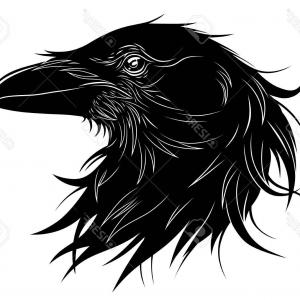Photostock Vector Black Raven Head Vector Illustration Hoodamathrun 300x300 Photostock Vector Black Raven Head Vector Illustration Hoodamathrun
