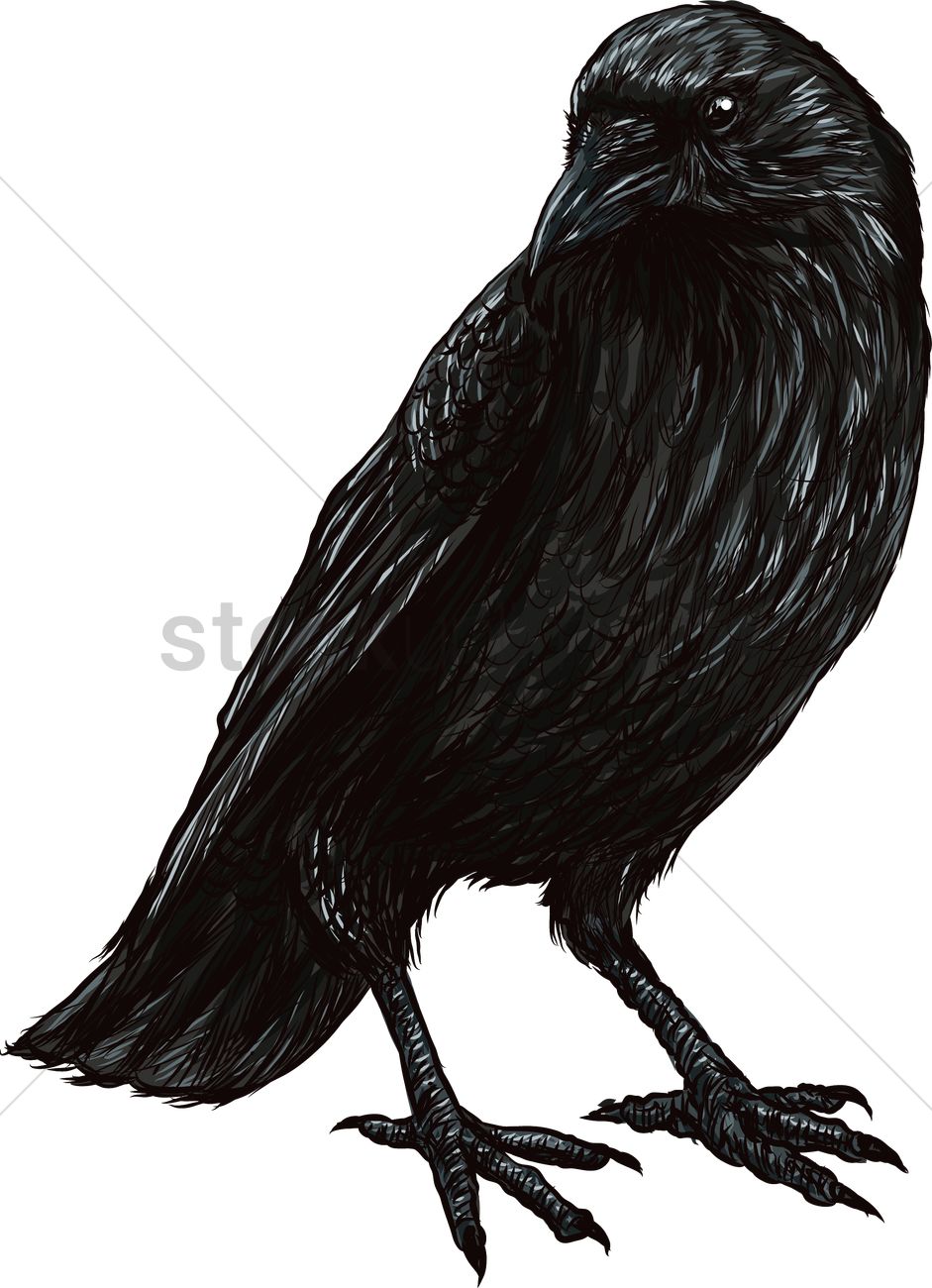 Raven Vector Image 941x1300 Raven Vector Image