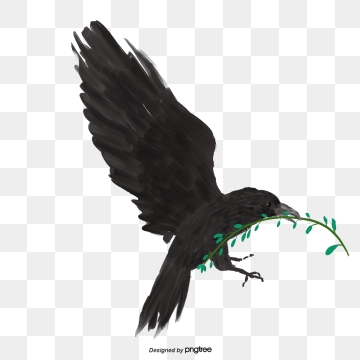 Raven Vector Png, Vector, And Clipart With Transparent 360x360 Raven Vector Png, Vector, And Clipart With Transparent
