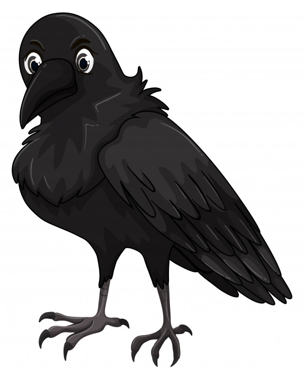Raven Vectors, Photos And Free Download 626x783 Raven Vectors, Photos And Free Download