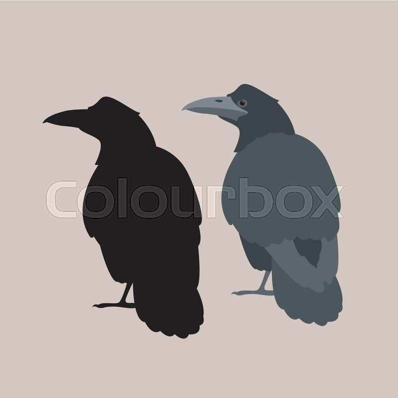 Raven Vector Illustration Style Flat Stock Vector Colourbox 800x800 Raven Vector Illustration Style Flat Stock Vector Colourbox