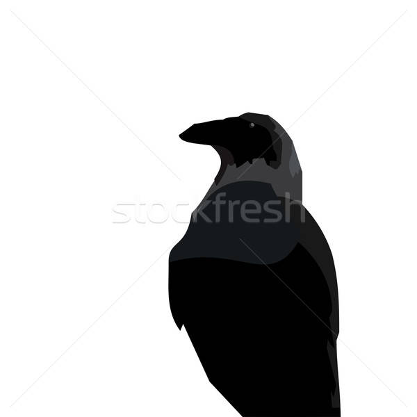 Realistic Illustraton Of Black Raven Vector Illustration Oleg 600x600 Realistic Illustraton Of Black Raven Vector Illustration Oleg