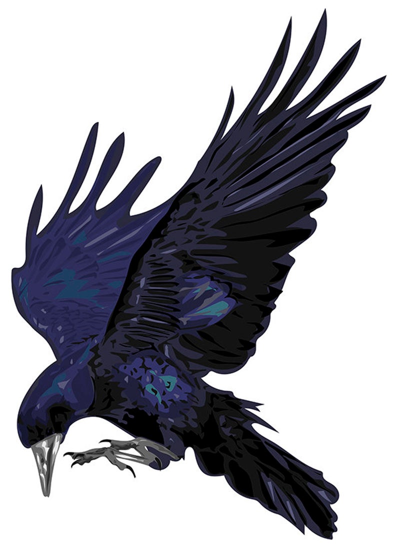 Raven Vector At Collection Of Raven Vector Free For