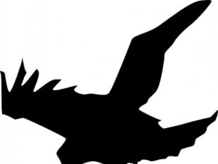310x233 Flying Raven Free Vector Art Free Vectors Ui Download