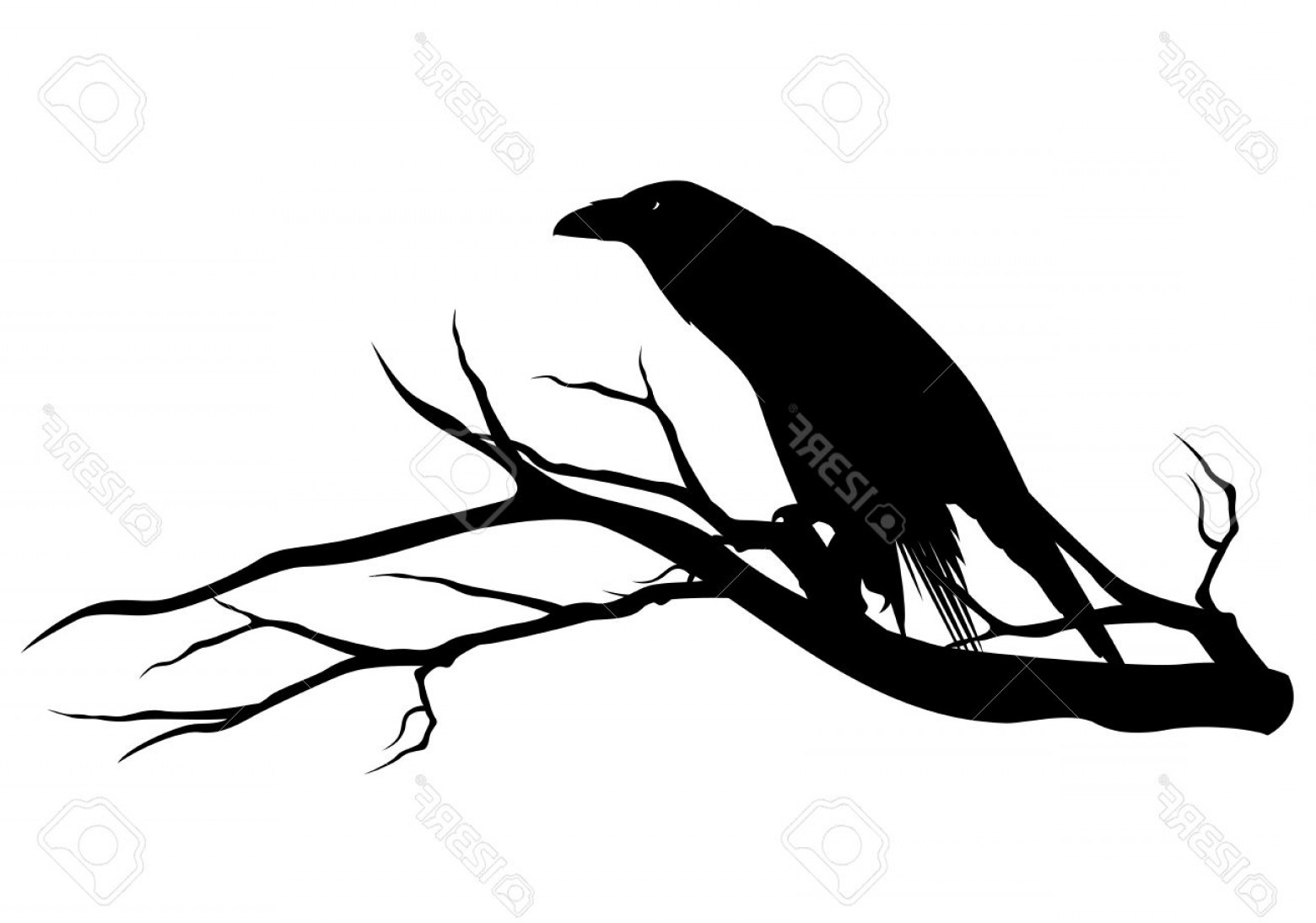 Raven Vector Art