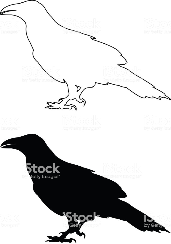 716x1024 Raven Silhouette Vector