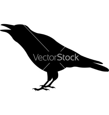 380x400 Raven Vector