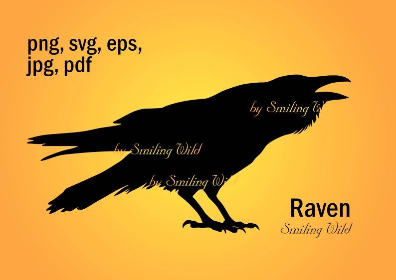 794x562 Raven Silhouette Clipart Cutout Corvus Corax Etsy
