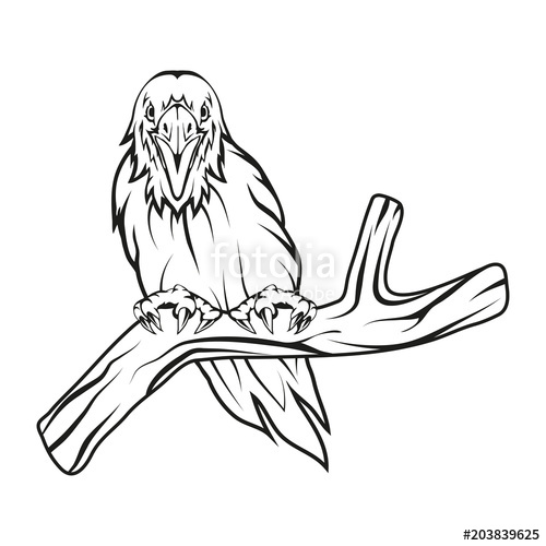 500x500 Raven Hand Drawn Raven Sketch Of Raven Head Vector Artwork