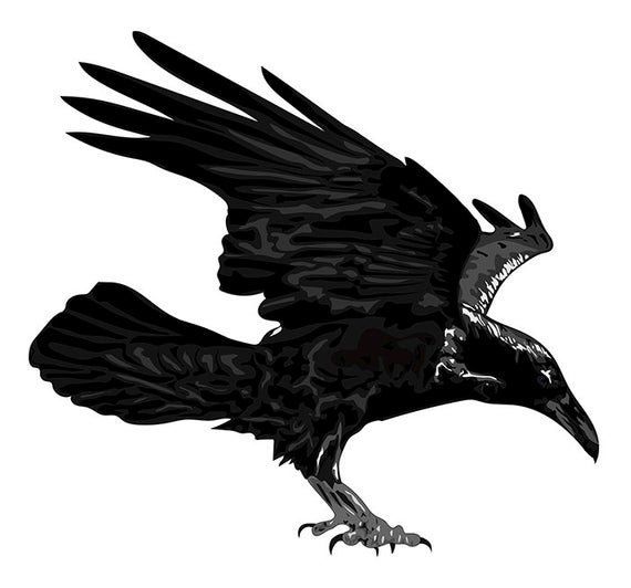 570x532 Stylized Raven Vector Art Etsy