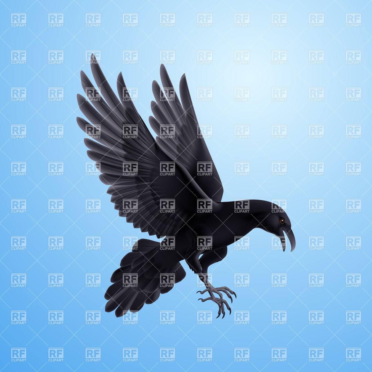 1200x1200 Attacking Black Raven Vector Image Of Plants And Animals Dvarg
