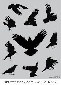 201x280 Collection Of 'raven Silhouette' Download More Than Images