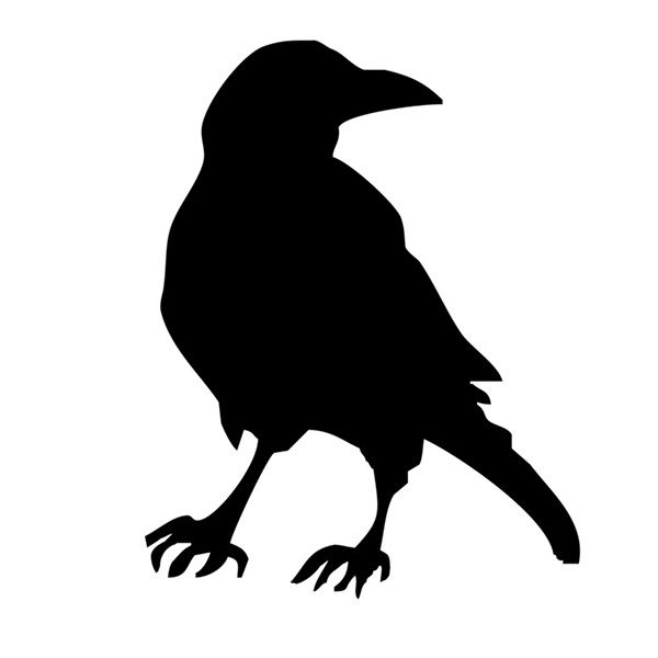 600x600 Collection Of 'raven Silhouette Templates' Download More Than