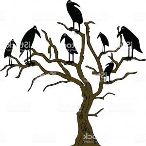 300x300 Png Logo Vector Graphics Bird Common Raven Ravens Logo Catchsplace