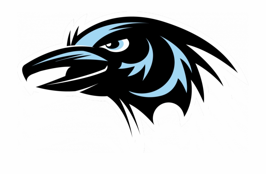 920x602 Raven Head Vector