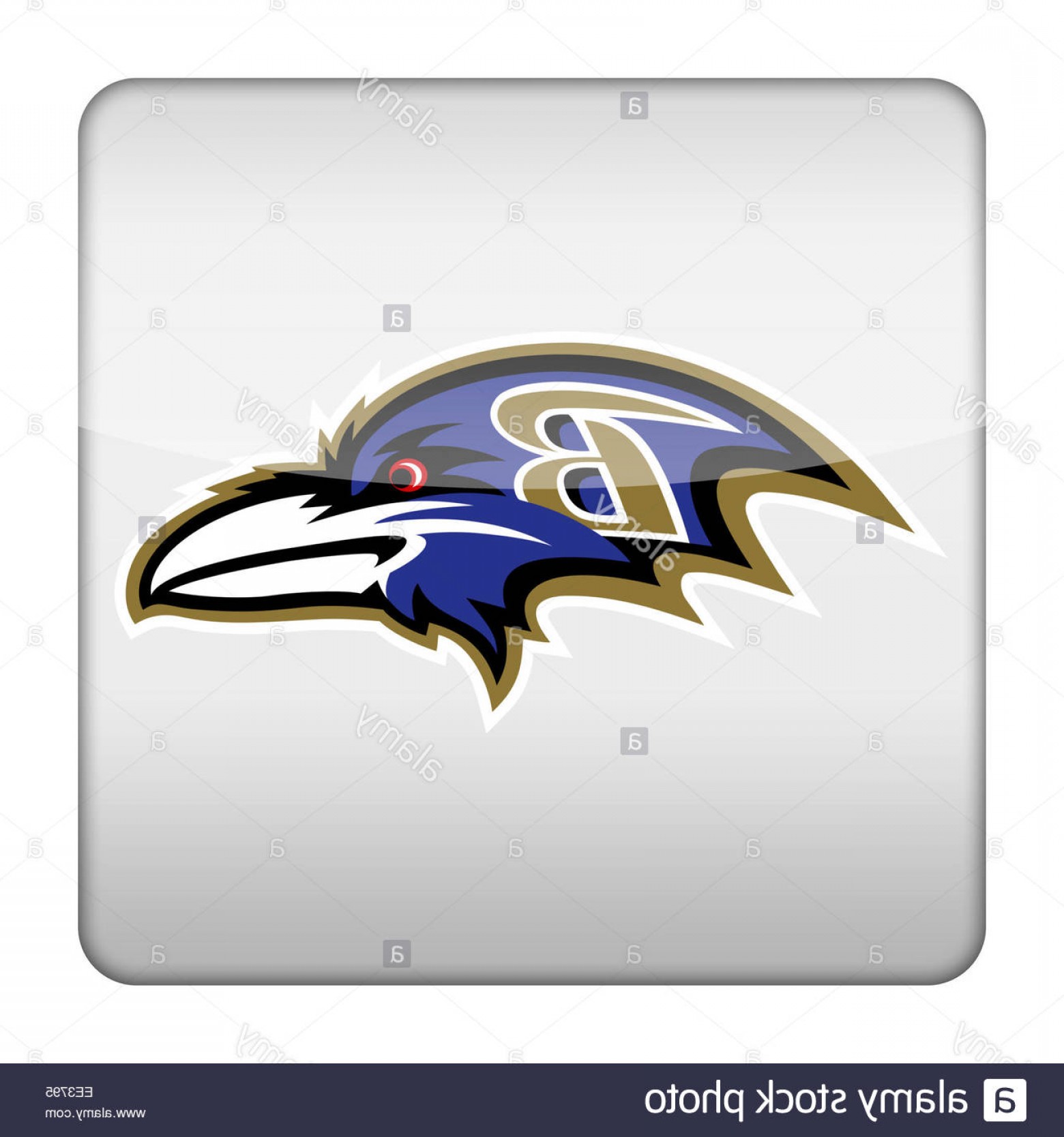 1560x1668 Stock Photo Baltimore Ravens Logo Icon Cultracing