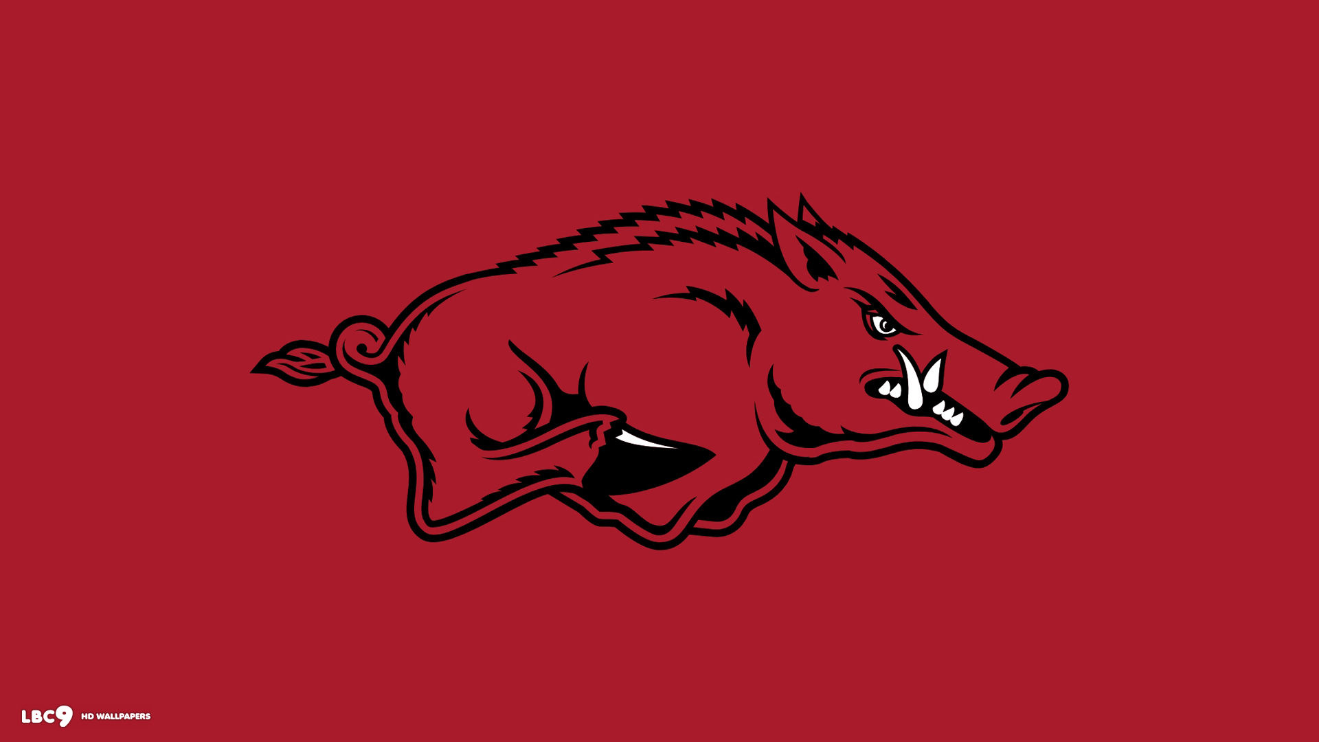 1920x1080 Best Arkansas Razorbacks Wallpaper On Hipwallpaper Arkansas