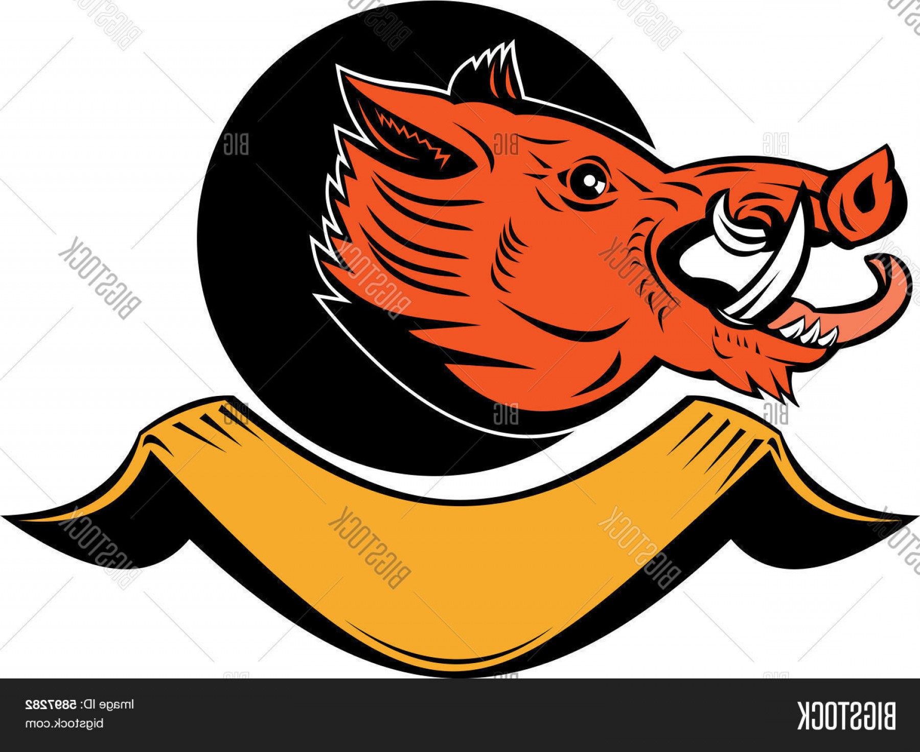 1800x1472 Stock Vector Wild Boar Or Razorback Hoodamathrun