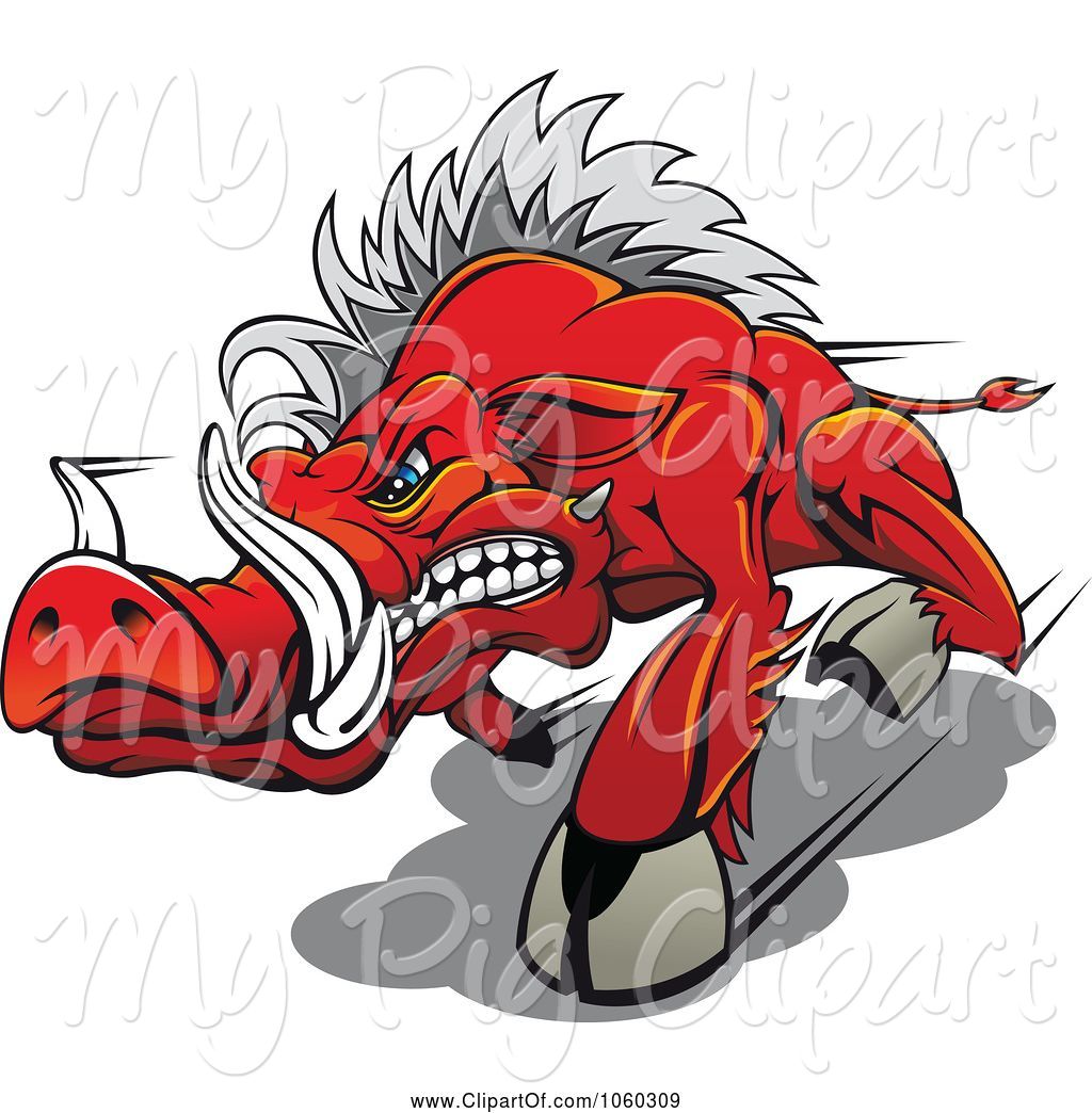 1024x1044 Swine Clipart Of Razorback Boar Logo