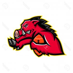 300x300 Unique Royalty Free Vector Of Mad Razorback Boar Logo