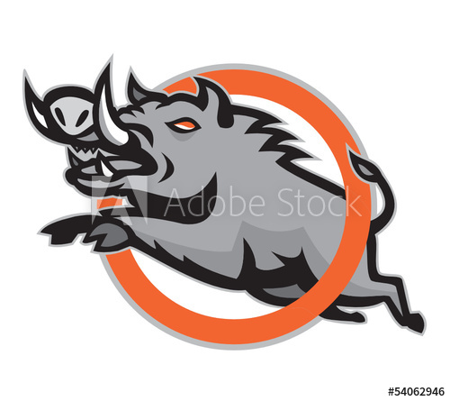 500x445 Wild Pig Boar Razorback Jumping Circle