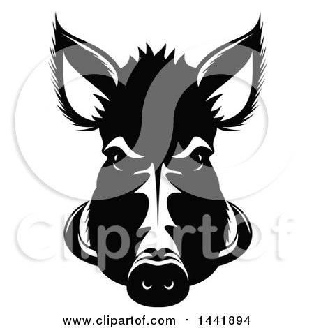 Clipart Of A Black And White Razorback Boar Head 450x470 Clipart Of A Black And White Razorback Boar Head