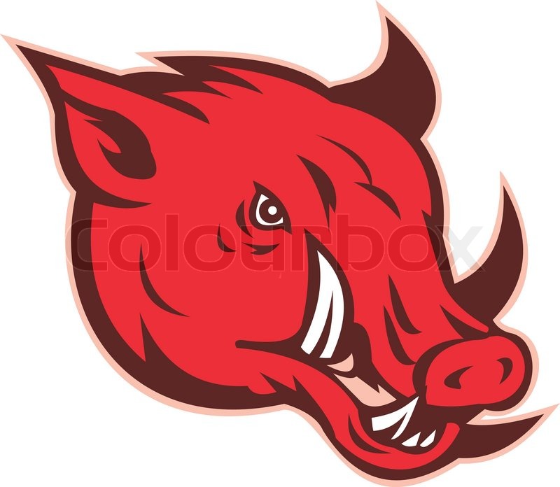 Illustration Of A Razorback Wild Pig Stock Vector Colourbox 800x696 Illustration Of A Razorback Wild Pig Stock Vector Colourbox