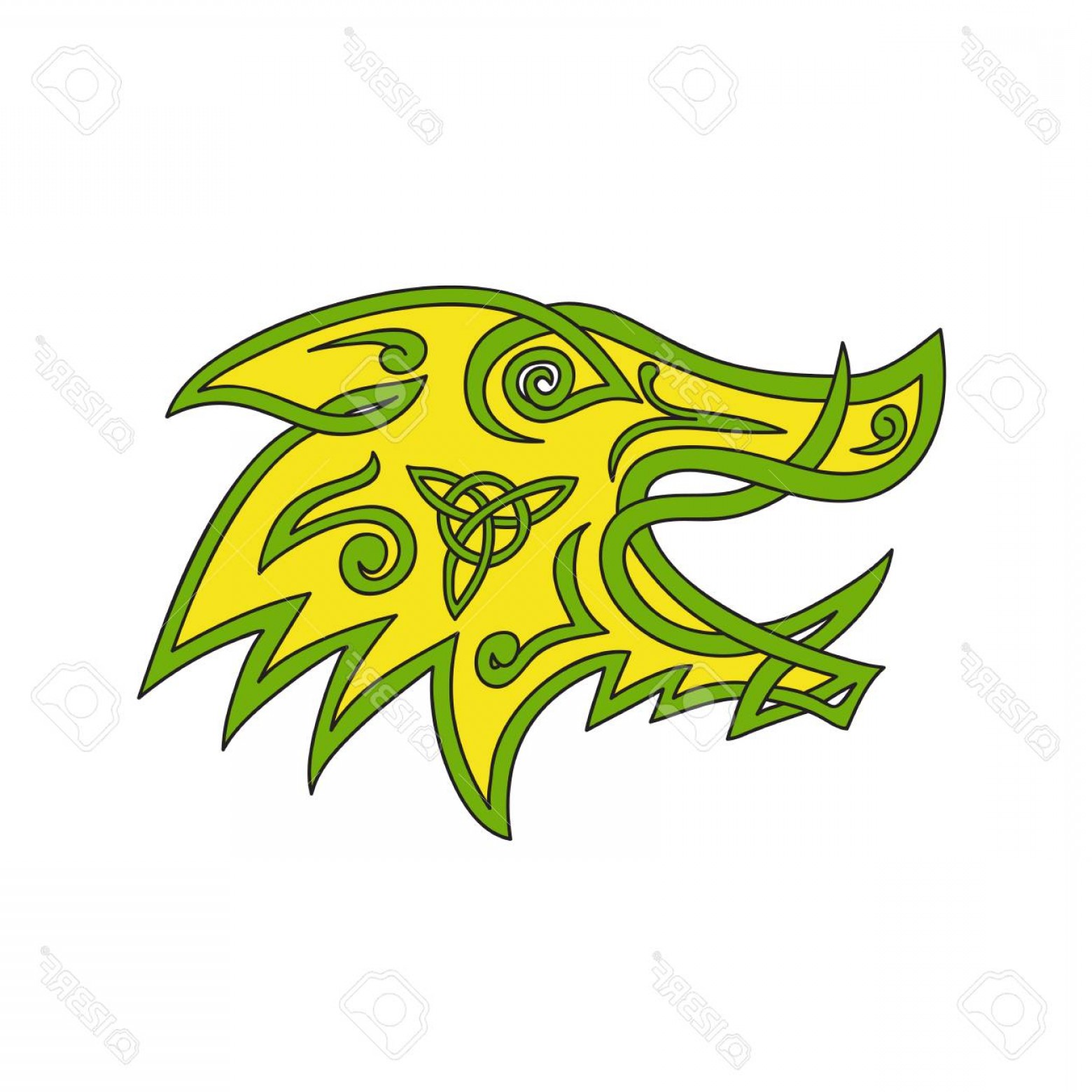 Photostock Vector Celtic Knot Stylized Illustration Of A Wild Boar 1560x1560 Photostock Vector Celtic Knot Stylized Illustration Of A Wild Boar
