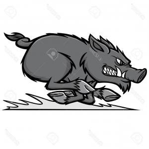Photostock Vector Razorback Run Illustration A Vector Cartoon 300x300 Photostock Vector Razorback Run Illustration A Vector Cartoon