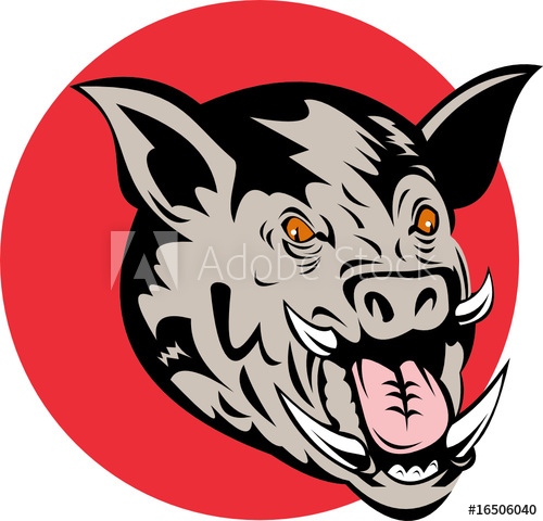 Razorback 500x480 Razorback