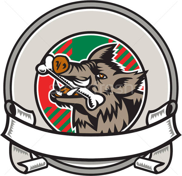 Razorback Stock Vectors, Illustrations And Cliparts Stockfresh 600x579 Razorback Stock Vectors, Illustrations And Cliparts Stockfresh