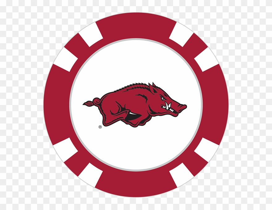 Razorback Vector 880x680 Razorback Vector
