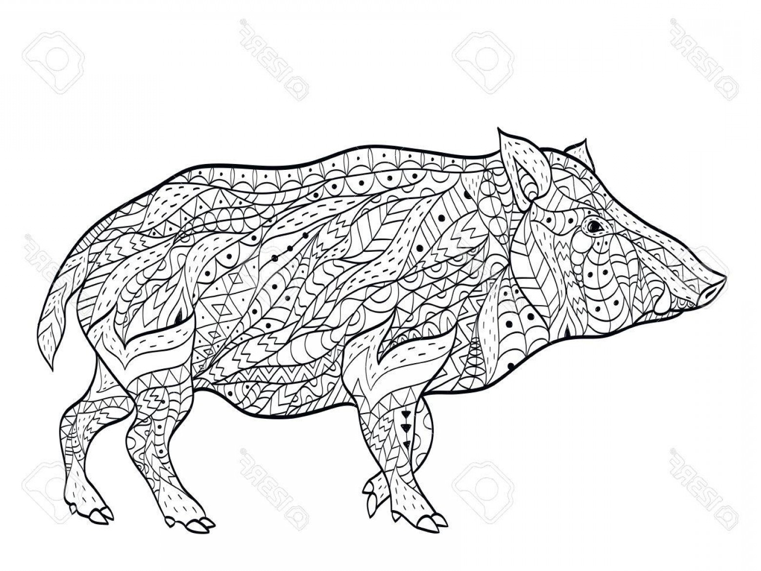Razorback Vector Mandala Createmepink 1560x1170 Razorback Vector Mandala Createmepink