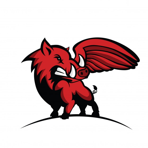Razorback Vectors, Photos And Free Download 626x626 Razorback Vectors, Photos And Free Download