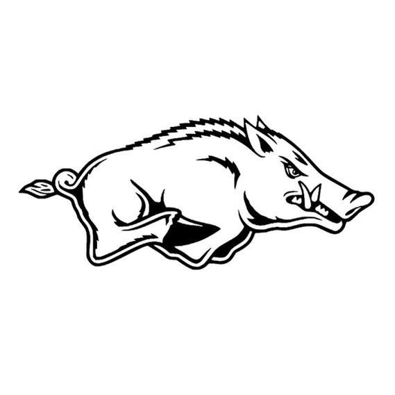 Arkansas Razorback Graphic Design Vector 569x569 Arkansas Razorback Graphic Design Vector