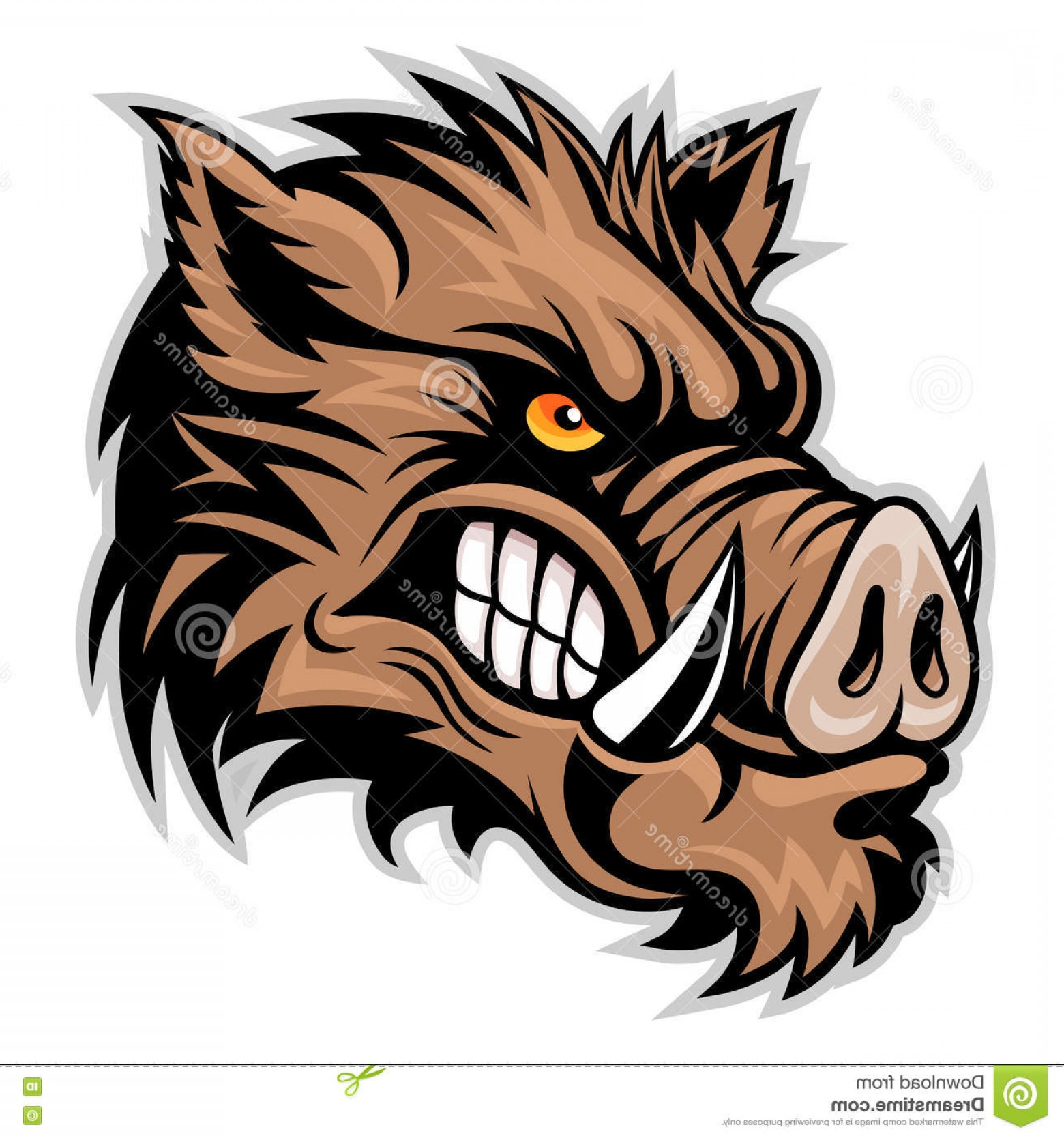 Stock Illustration Wild Boar Head Vector Illustration Angry 1560x1668 Stock Illustration Wild Boar Head Vector Illustration Angry