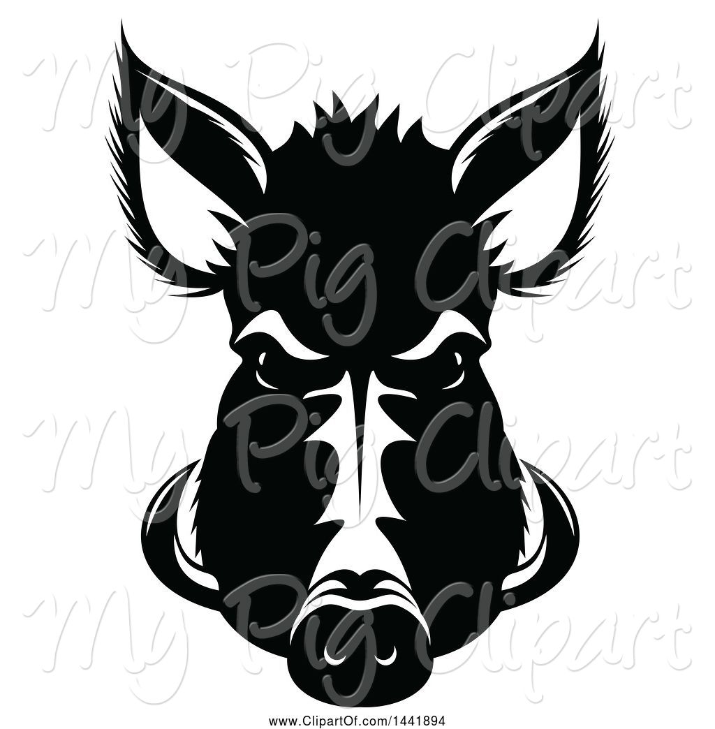 Swine Clipart Of Black And White Razorback Boar Head 1024x1044 Swine Clipart Of Black And White Razorback Boar Head