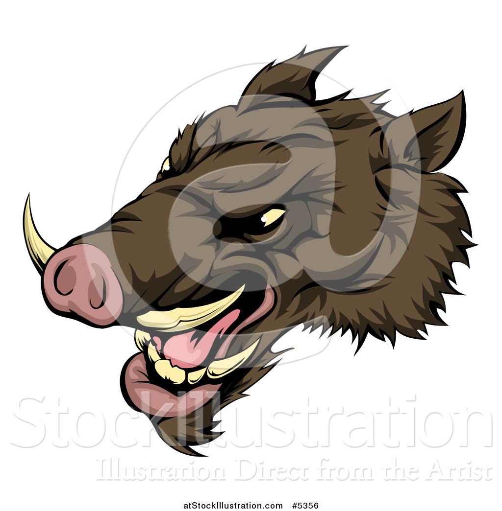 Vector Illustration Of A Snarling Aggressive Razorback Boar Mascot 1024x1044 Vector Illustration Of A Snarling Aggressive Razorback Boar Mascot