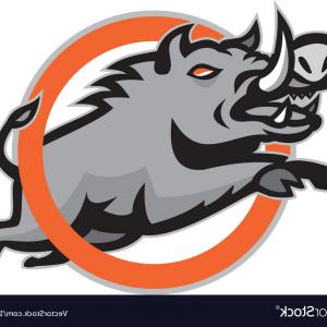 Best Stock Vector Wild Pig Or Razorback Design Hoodamathrun 300x300 Best Stock Vector Wild Pig Or Razorback Design Hoodamathrun