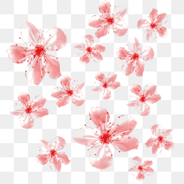 360x360 Real Flower Png Images Vector And Free Download