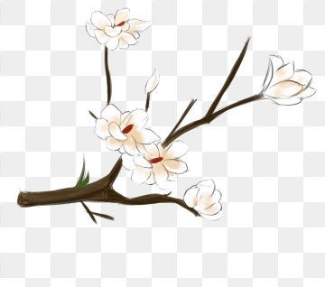 360x318 Real Flower Png, Vector, And Clipart With Transparent