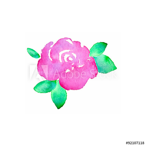 500x500 Rose Hand Drawn Flower Real Watercolor Drawing Vector