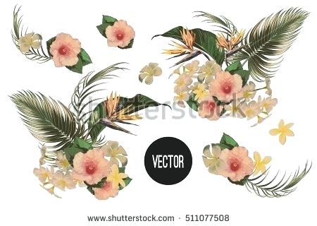 450x320 Boho Flowers Vector