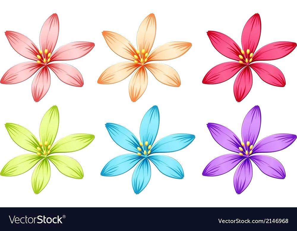 1000x780 Real Flowers Free Vector