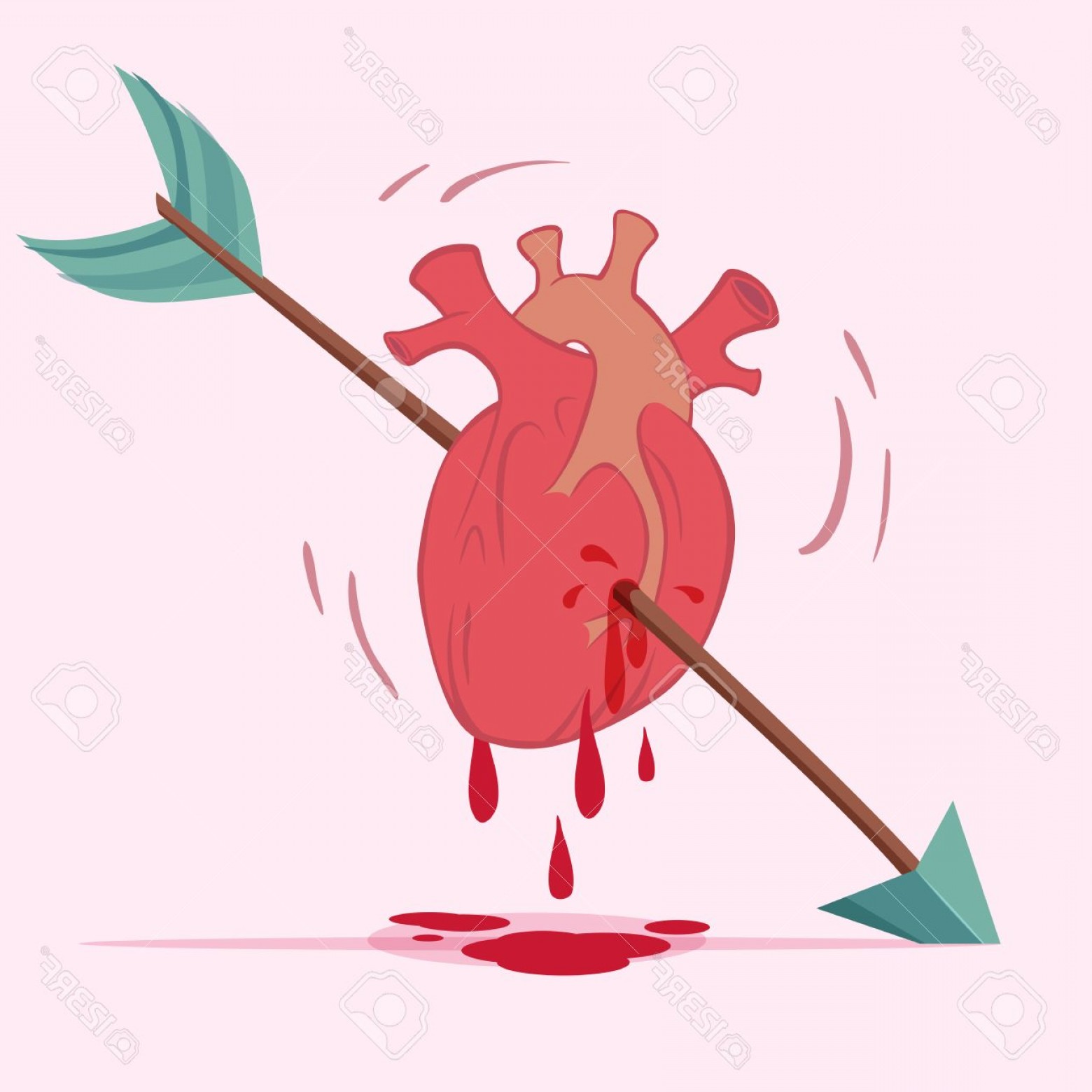 1560x1560 Photostock Vector Real Heart With An Arrow Pierced Through