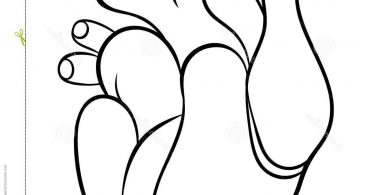 367x195 Real Heart Vector Archives